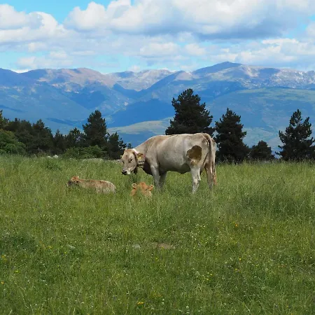 Espectacular De Montana En * Alp
